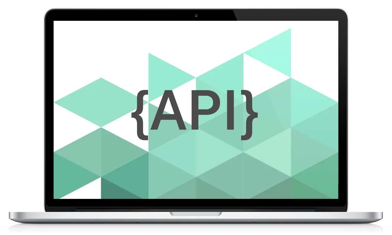 Laptop displaying API documentation